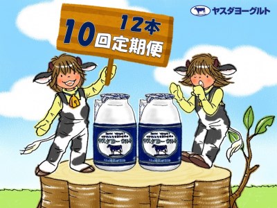【10か月定期便】ヤスダヨーグルト 150g×12本×10回 小ボトル こだわり生乳 新鮮 濃厚 飲むヨーグルト のむよーぐると ヨーグルト 1B05061