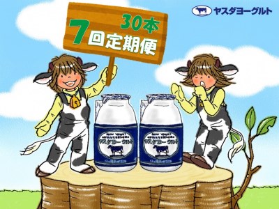 【7か月定期便】ヤスダヨーグルト 150g×30本×7回 小ボトル こだわり生乳 新鮮 濃厚 飲むヨーグルト のむよーぐると ヨーグルト 1B14092