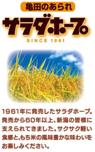 亀田製菓  サラダホープ 90g 12袋 2A02009