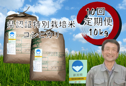 【令和7年産新米】【10か月定期便】特別栽培米 コシヒカリ 10kg×10回 新潟県認証 1G03401