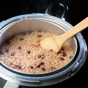 さっちゃんの酵素玄米ごはん「レトルトタイプ」125g×14パック コシヒカリ ３日間熟成 健康 美容 完全無添加 1F02016