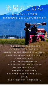 【3ヶ月定期便】 パックご飯 新潟県阿賀野市産みずほの輝き 150g×24食×3回  1H19024