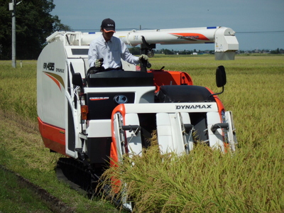 【令和7年産新米予約】旧笹神村産 コシヒカリ 2kg 白米 上泉 農家直送 コメドック 金賞 贈答 10月上旬より順次発送予定 1Q11012
