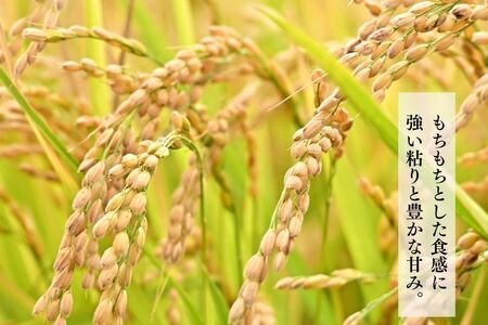 北海道奈井江町　ゆめぴりか　玄米　30kg