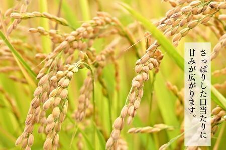 北海道奈井江町 ななつぼし 玄米 30kg