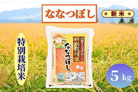 北海道奈井江町　特別栽培米　ななつぼし　5kg