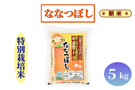 北海道奈井江町　特別栽培米　ななつぼし　5kg