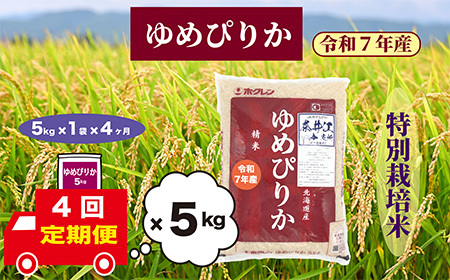 【定期便4回】北海道奈井江町 特別栽培米 ゆめぴりか 5kg