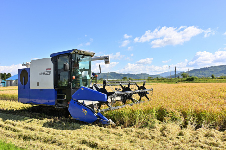 【定期便6回】北海道奈井江町　特別栽培米　ゆめぴりか　5kg【無洗米】