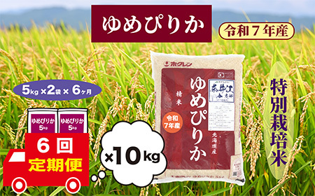 【定期便6回】北海道奈井江町 特別栽培米 ゆめぴりか 10kg