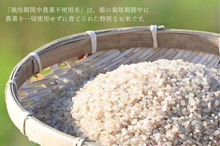 北海道奈井江産ゆめぴりか『奏穂（かなでほ）』　玄米＆白米　おためしセット　計600g　栽培期間中農薬不使用米（化学肥料5割減）