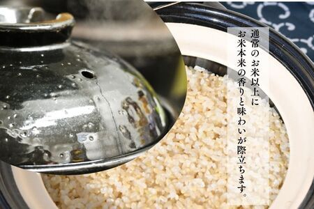 北海道奈井江産ゆめぴりか『奏穂（かなでほ）』　玄米＆白米　おためしセット　計600g　栽培期間中農薬不使用米（化学肥料5割減）