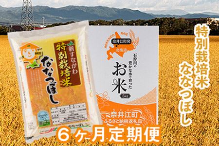 R1at02 特別栽培米ななつぼし5kg 6ヶ月定期便 令和元年産 北海道奈井江町 ふるさと納税サイト ふるなび