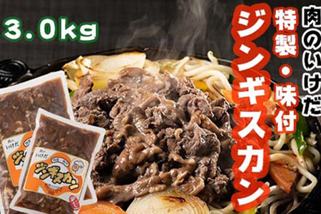 K 02y 肉のいけだの手作り 特製 味付 ジンギスカン3 0kg 北海道奈井江町 ふるさと納税サイト ふるなび