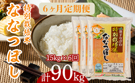 『特別栽培米ななつぼし5kg×3』定期便！毎月1回・計6回お届け