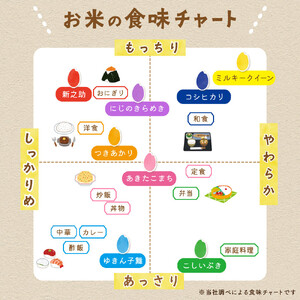 【3か月定期便】佐渡島産コシヒカリ 白米5Kg 令和7年 特別栽培米 農家直送