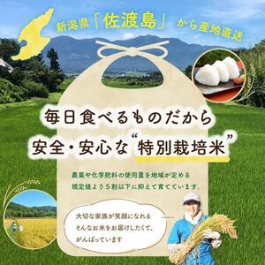 【3か月定期便】佐渡島産コシヒカリ 玄米5Kg 令和5年産 特別栽培米