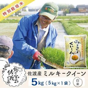 佐渡島産 ミルキークイーン 白米5Kg×1袋 【令和5年産】特別栽培米