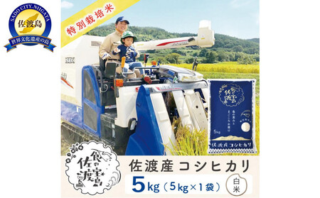 佐渡島産コシヒカリ 白米5kg 特別栽培米 農家直送