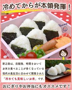 佐渡島産 新之助 精米10kg(5kg×2袋)令和7年産