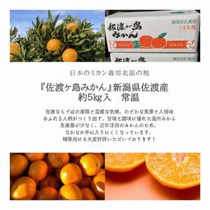 佐渡みかん(3S~2Lサイズ)約5kg