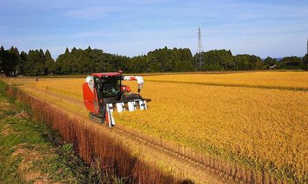 令和7年産 佐渡 川上農産のコシヒカリ(5kg)