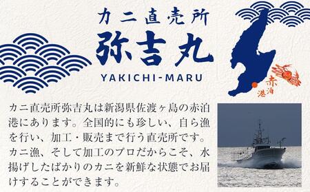 【2026年3月先行受付】佐渡島直送！浜茹で紅ズワイガニむき身（500ｇ/約20杯分使用）ふるさと納税