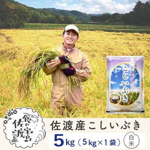 佐渡島産 こしいぶき 白米5kg×1袋【令和5年産】～農薬5割減～
