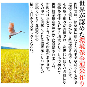 【定期便予約】佐渡産コシヒカリ 5kg(精米) 全6回