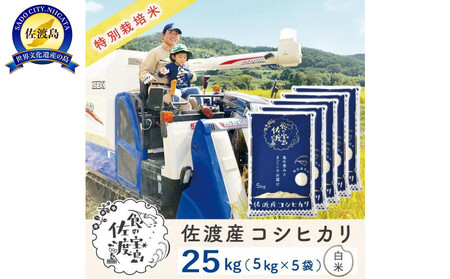 佐渡島産コシヒカリ 白米25kg（5kg×5袋） 特別栽培米 農家直送\t