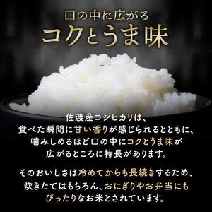 米 佐渡産ブレンド米 佐渡のめぐみ 10kg 【 米 米 米 米 】