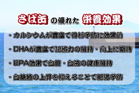 【12月23日決済分まで年内配送】佐渡産 さば いわし 缶詰 水煮 味噌煮 6缶セット 常温 常温保存 国産 佐渡 鯖 サバ 鰯 イワシ 缶詰 さば缶 サバ缶 鯖缶 缶詰め かんづめ 保存食 非常食 長期保存 長期保管 備蓄 魚介 魚介類 冷凍 簡単調理 簡単料理 おかず