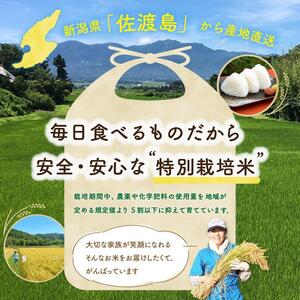 “訳あり“ 佐渡島のコシヒカリ中間米10Kg 特別栽培米 生産者応援 ※エリア限定※ 令和6年産