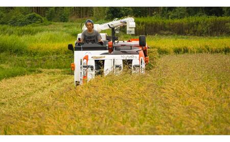 【令和7年度産】高島農場の農薬不使用コシヒカリ精米10kg