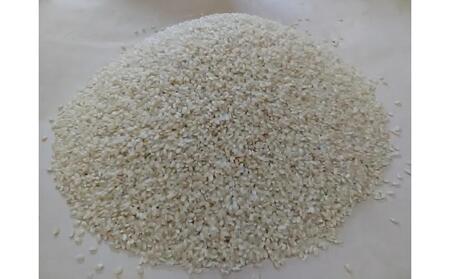 【令和7年度産】高島農場の農薬不使用コシヒカリ玄米30kg