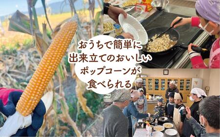 佐渡島産 大野さんのポップコーン用とうもろこし(180g×5袋入)