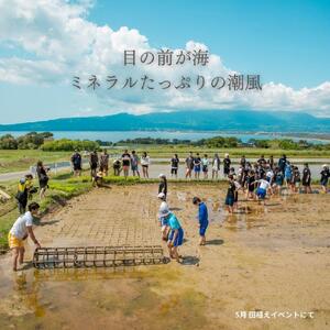 新潟県佐渡産 令和7年産 【在来コシヒカリ】 玄米 5kg