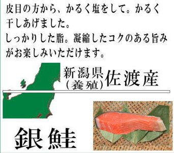 佐渡産ふっくら銀鮭(8切)