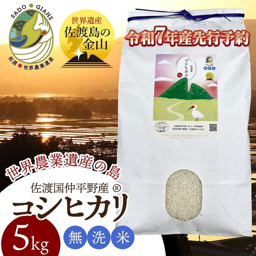 【新潟県佐渡】国仲平野産コシヒカリ＜数量限定・生産地域限定＞ 令和７年産 精米【無洗米】5kg 送料無料