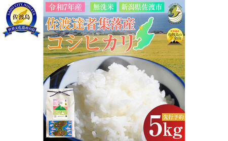 【新潟県佐渡】達者集落産コシヒカリ＜数量限定・生産地域限定＞ 令和７年産 精米【無洗米】5kg 送料無料