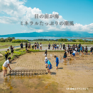 新潟県佐渡産 令和7年産 【にこまる】 玄米 5kg