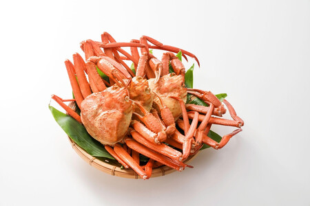 【2026年4月先行受付】『冷凍』佐渡島直送!浜茹で紅ズワイガニ(1杯400g/3杯)ふるさと納税