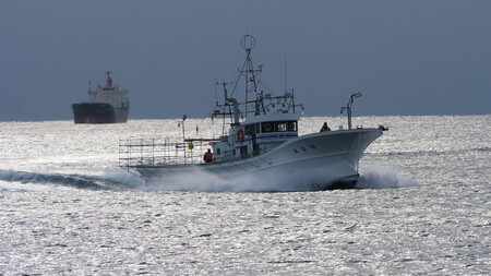 【2026年4月先行受付】『冷凍』佐渡島直送!浜茹で紅ズワイガニ(1杯400g/3杯)ふるさと納税