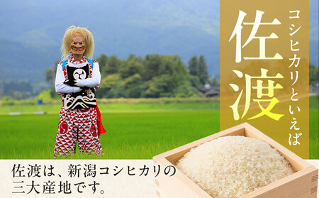 【令和7年産】佐渡産コシヒカリ　5kg