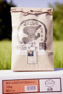 【令和7年産】自然栽培ササニシキ精米9キロ 【2025年10月中旬より順次発送】