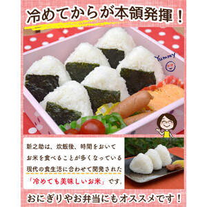 佐渡島産 新之助 白米4kg（2Kg×2袋）