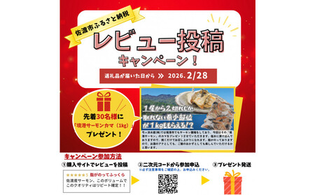【レビューキャンペーン実施中!】国産銀鮭「佐渡サーモン」塩鮭切身約1.5kg真空包装<弓ヶ浜水産>定塩さけ