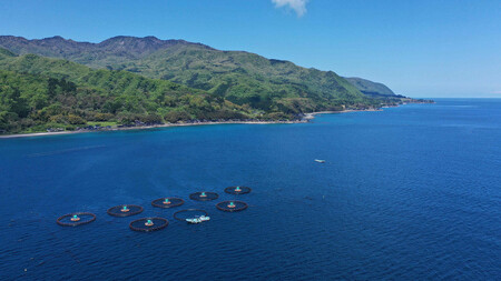 【レビューキャンペーン実施中!】国産銀鮭「佐渡サーモン」塩鮭切身約1.5kg真空包装<弓ヶ浜水産>定塩さけ