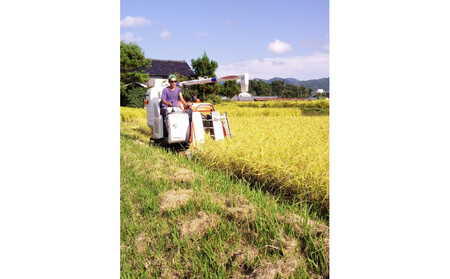 【令和7年度産】高島農場の農薬不使用ササニシキ10kg玄米