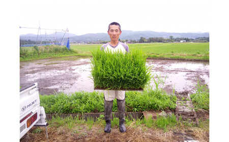 【令和7年度産】高島農場の農薬不使用ササニシキ10kg玄米